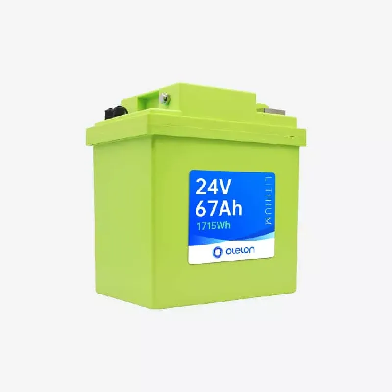 Batería modular LiFePO4 de 24 V y 67 Ah