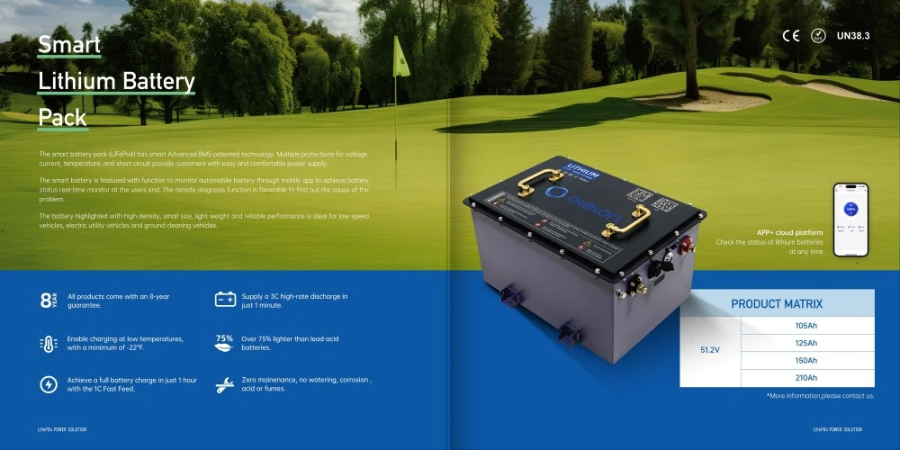 51 2v 48v 150ah Lifepo4 Golf Cart Lithium Battery